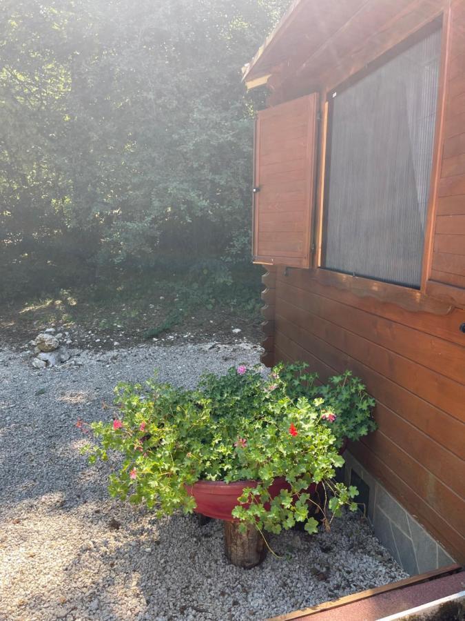 Carpe Diem Retafani Roger'S House Алтіпіані-ді-Асінаццо Екстер'єр фото